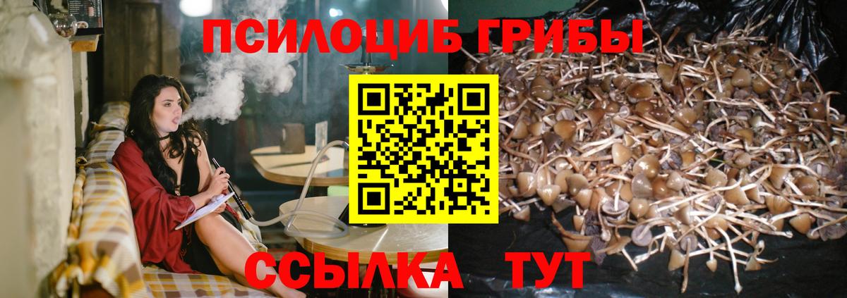 Галлюциногенные грибы мицелий  наркотики  Вход с VPN  Алексин  Псилоцибиновые грибы прущие грибы 