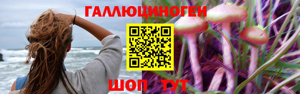 Галлюциногенные грибы мицелий Алексин